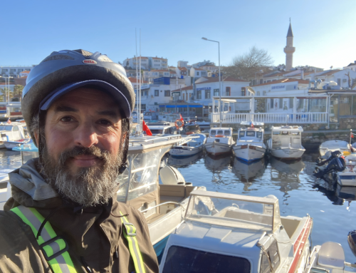 Carbon Savvy Wins Best UK Environmental Services Award 2026