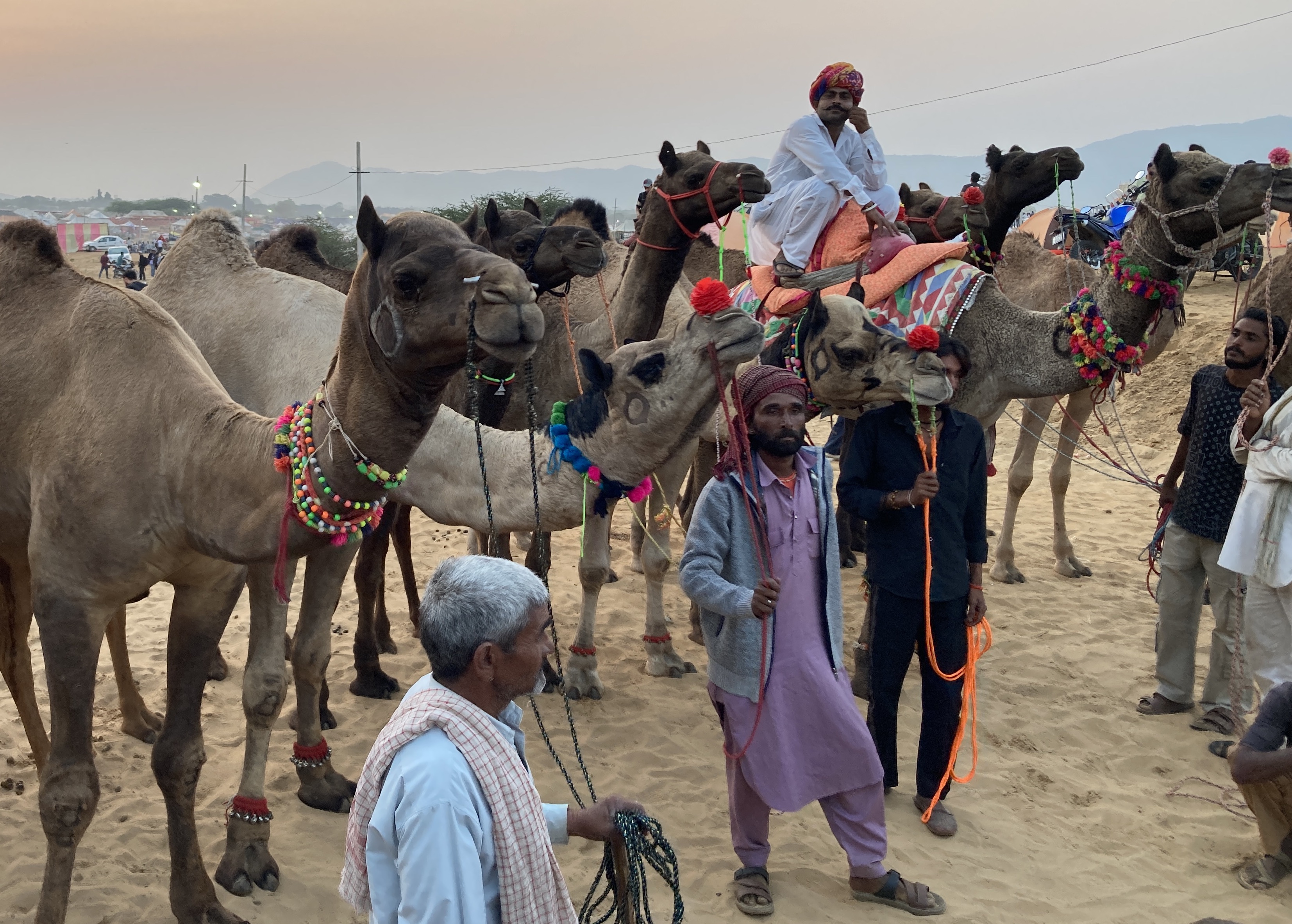 The Camel Fair at Pushkar